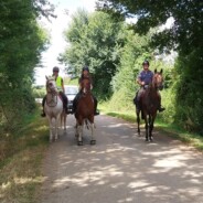 Randonnée Equestre le 15 septembre Route de Mortevielle La Couture 85320